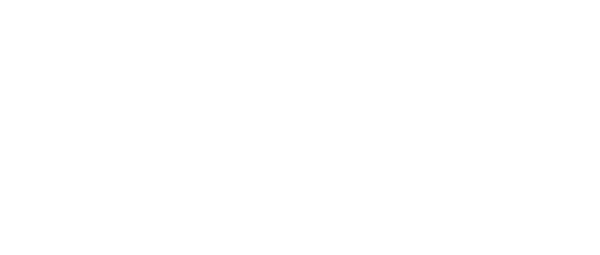 Bikes 'n Boards Logo
